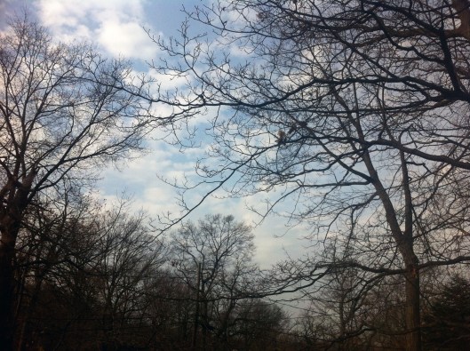 A day as "seen from my window" series. 2012 11 30.