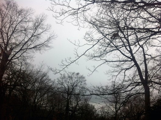 Oyster Bay as seen from the window. 2012 12 01. BBS.